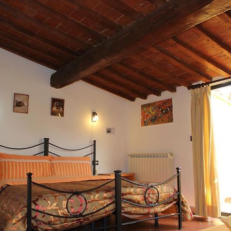 Zmax Zanobi Studios Florence Extérieur photo